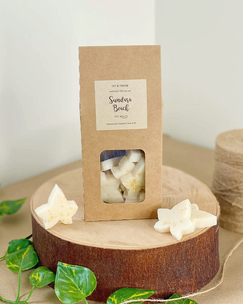 Ivy + Twin Sundara Beach Wax Melts