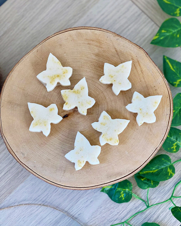 Ivy + Twin Lemon Verbena Wax Melts